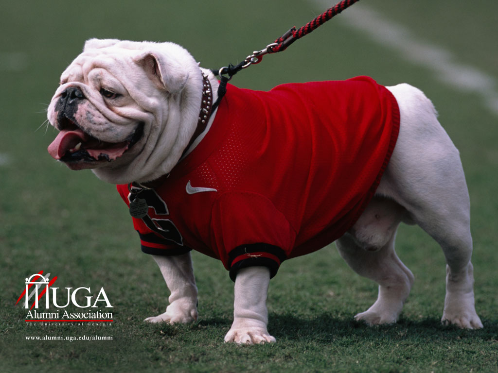 uga.jpg